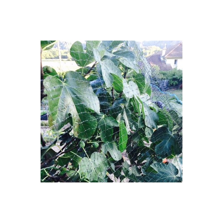 copy of 